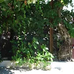 Casa De Marlaes * Lousada