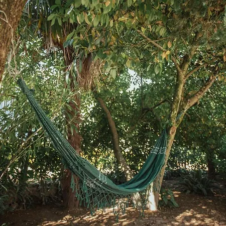 Vakantiehuis Casa De Marlaes Lousada