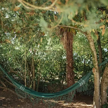 Casa De Marlaes Lousada