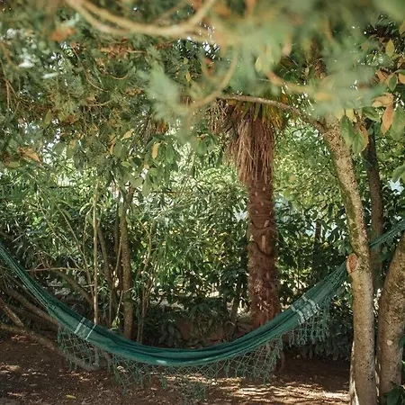 Casa De Marlaes Lousada