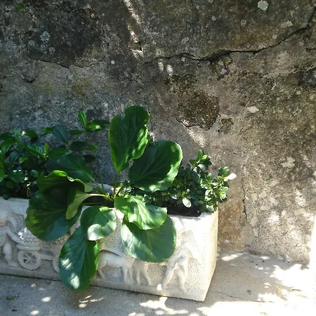 Casa De Marlaes Dom wakacyjny Lousada