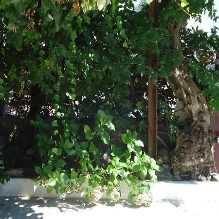 Casa De Marlaes * Lousada